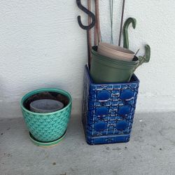 Free Plant Stuff PENDING