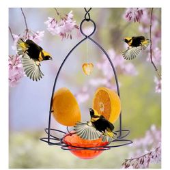 Bird Feeder