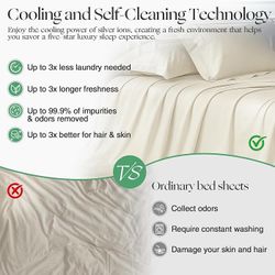 Bed Sheets Set (brand new)