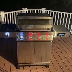Propane Grill (Denali 405)