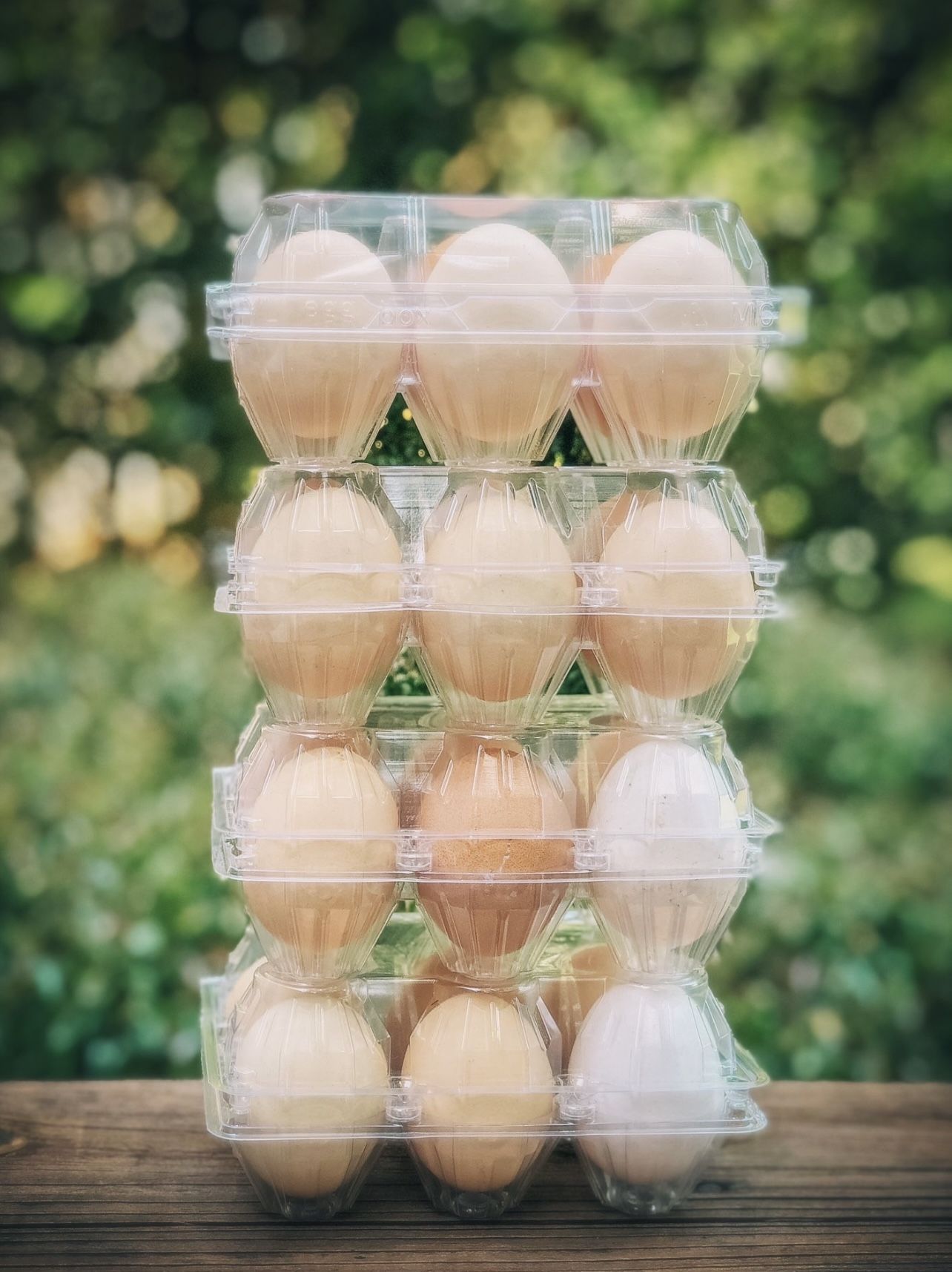Fresh farm rainbow eggs from free range chickens.