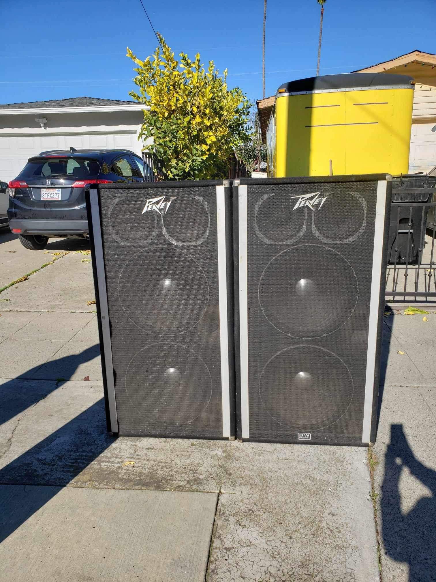 Peavey 3620 Base Enclosure