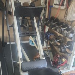 Bodysolid Pro-line Club Leg Press & Squat