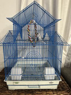 Bird Cage With Birds Included