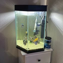 20gal Fish Tank