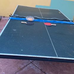 Ping Pong Table