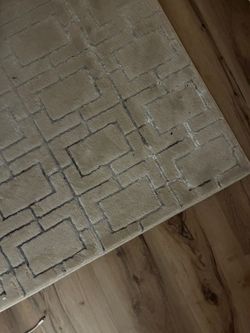 Area Rug — Price Negotiable