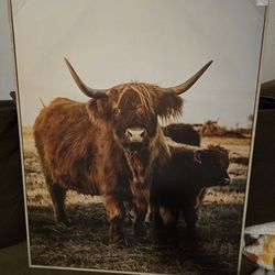 Highland Cattle Wood Framed Canvas Art