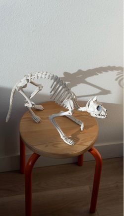Decorative Cat Skeleton LED Red Light Up Eyes Halloween Party Decor