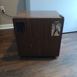 Mini Fridge 