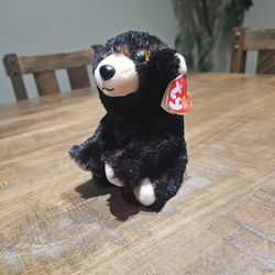 Ty Beanie Babies Kodi Bear