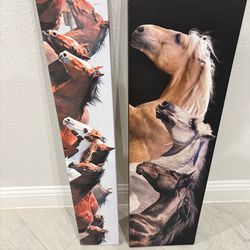 Horse canvas
