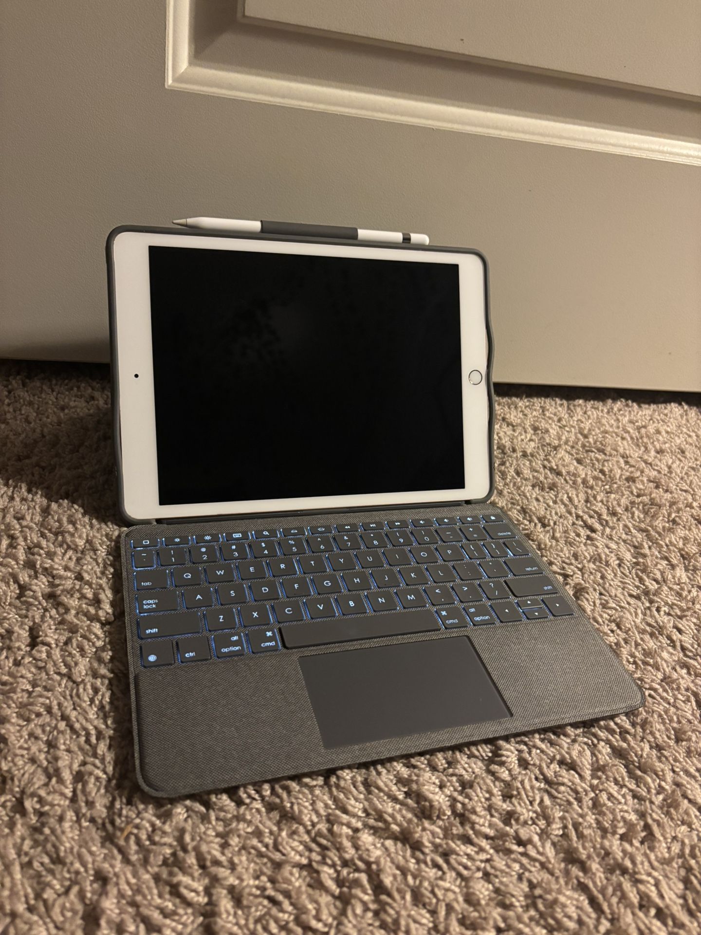 IPad, apple pencil, logitech case 