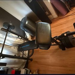 Workout Out Bench With Weights