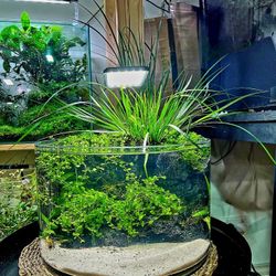 Cylindrical Aquarium Tank H.O.B. filter