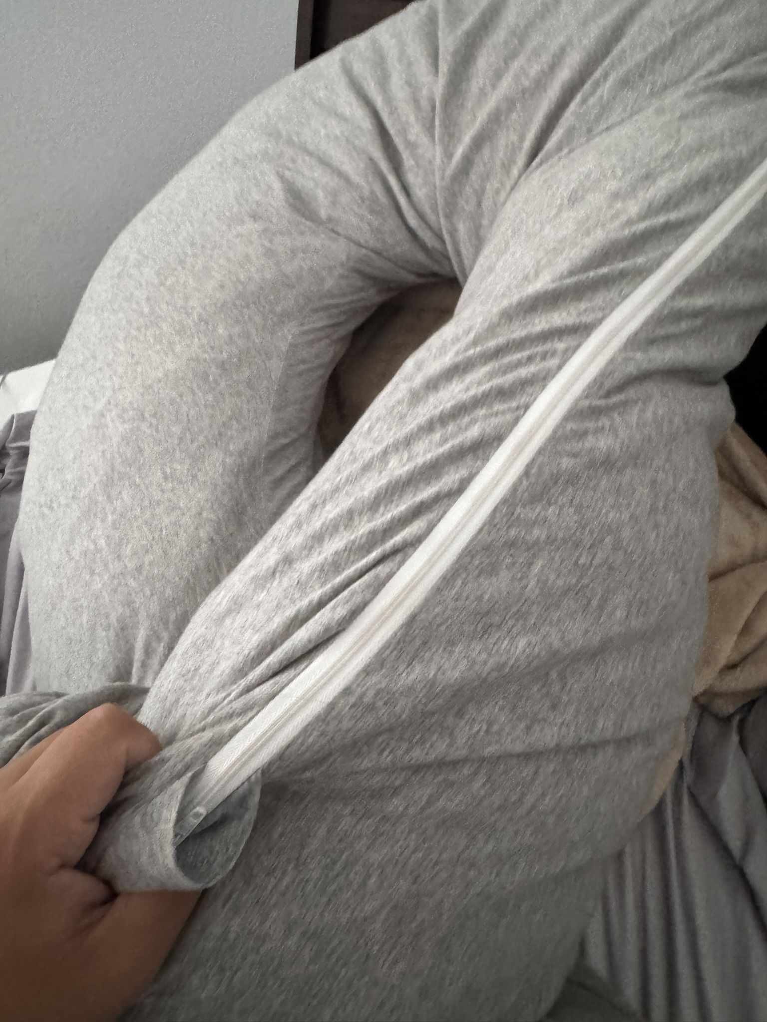 Pregnancy Pillows