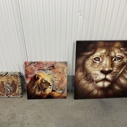 Set of 3 African Wildlife Canvas Prints – Lions & Safari Art – $90 (Cash Only) 
