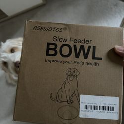Dog Slow Eating Bowl