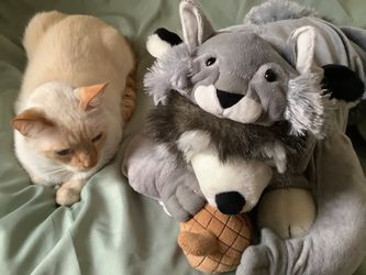 Squirrel Pet Costume