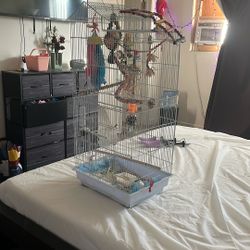 Free Bird Cage & Toys
