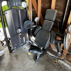 Technogym Arm Curl Gym Machine