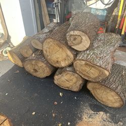 Free Oak Wood Firewood Stumps Log