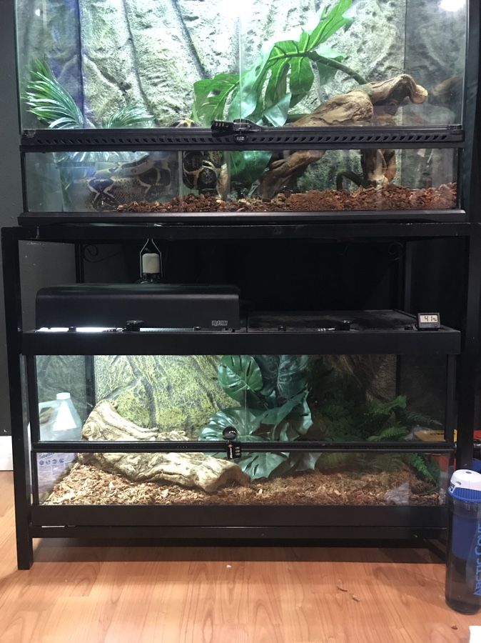 Large Wide Exo Terra Reptile Terrarium Vivarium 36x18x18 Tank With Stand aquarium Snake Monitor Lizard