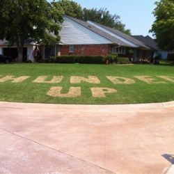 Lawns, Odd Jobs, Etc.