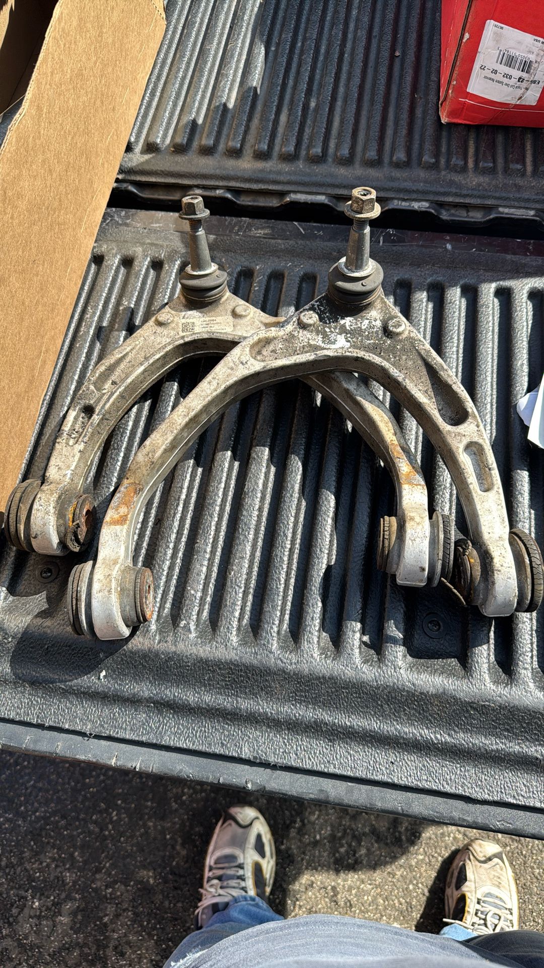 Upper Arms