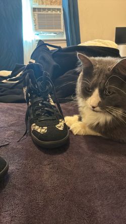 Coach Signature High-Top Wedge Sneakers