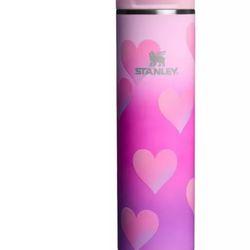 Stanley  Valentines /cup/tumbler 