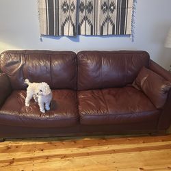 Natuzzi Leather Couch