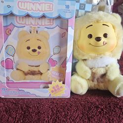Disney Winnie secret
