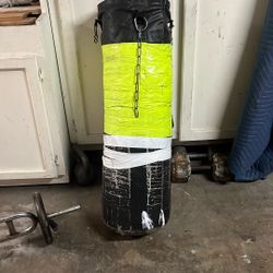 Punching Bag 