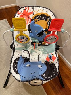 Baby Bouncer