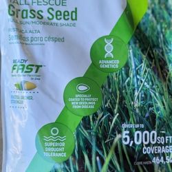 Sta-green Tall Fescue Grass Seed With Fertilizer