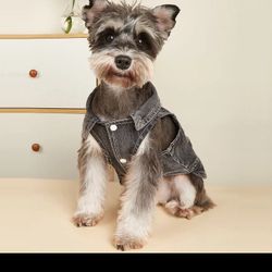 Doggy Vest(Brand New)