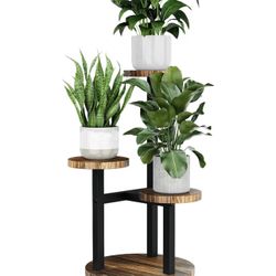 Plant Stand