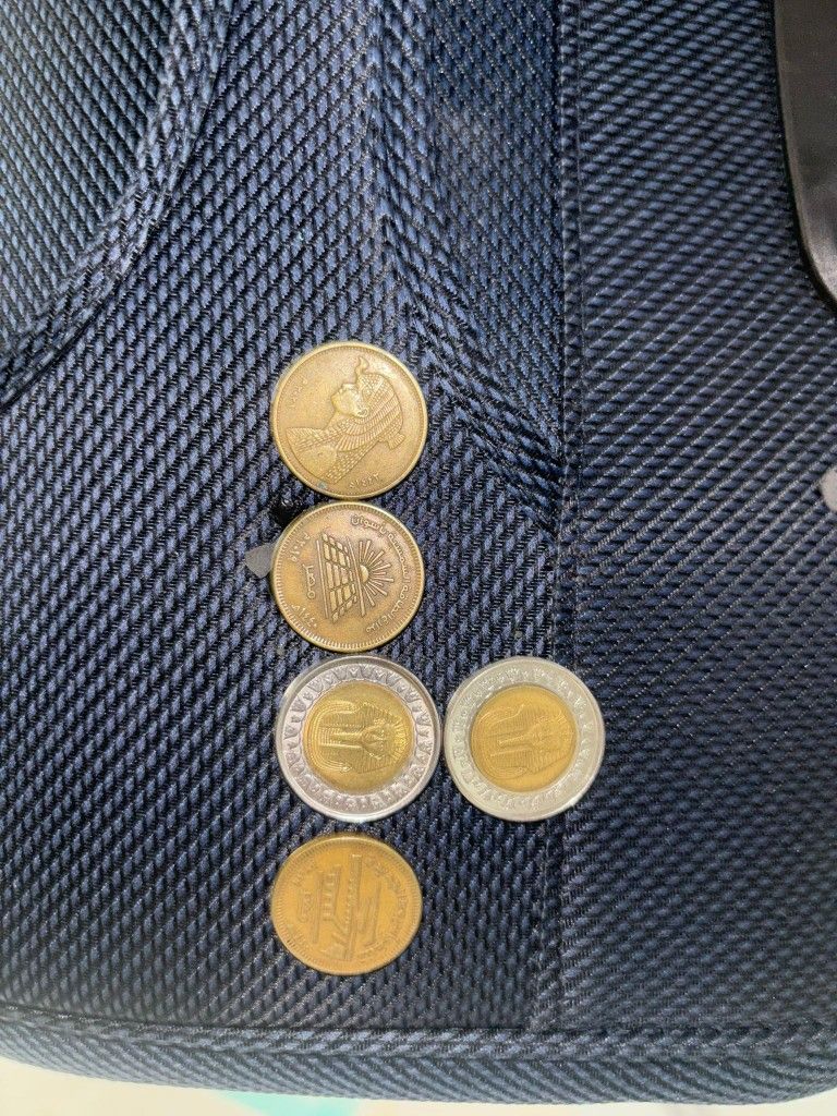 Ancient Egyptian Coins!