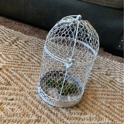 Bird Cage Decor Farmhouse