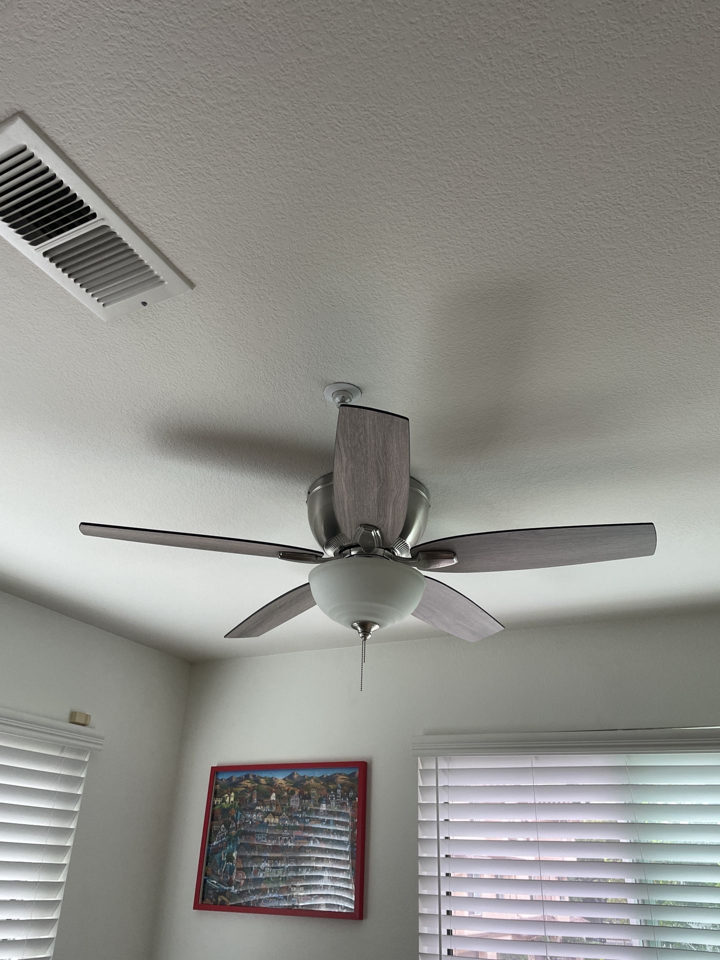 Ceiling Fan With Light 