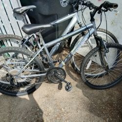 Two Mountain Bikes For $20