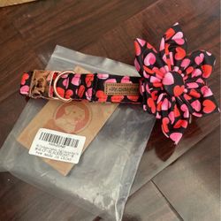 Brand new Hearts Dog Collar Size M/L