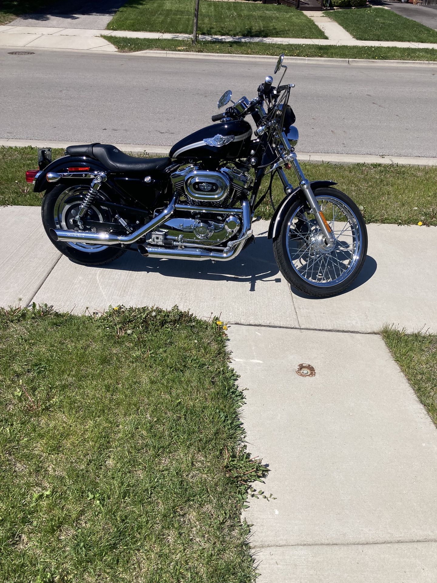 2003 Harley Davidson 1200 custom sportster