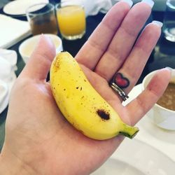 Truly Tiny Banana Plant In 3gal Great For Pots