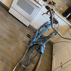 Vintage Schwinn Bike