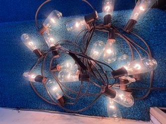 Garden Edison Bulb light string