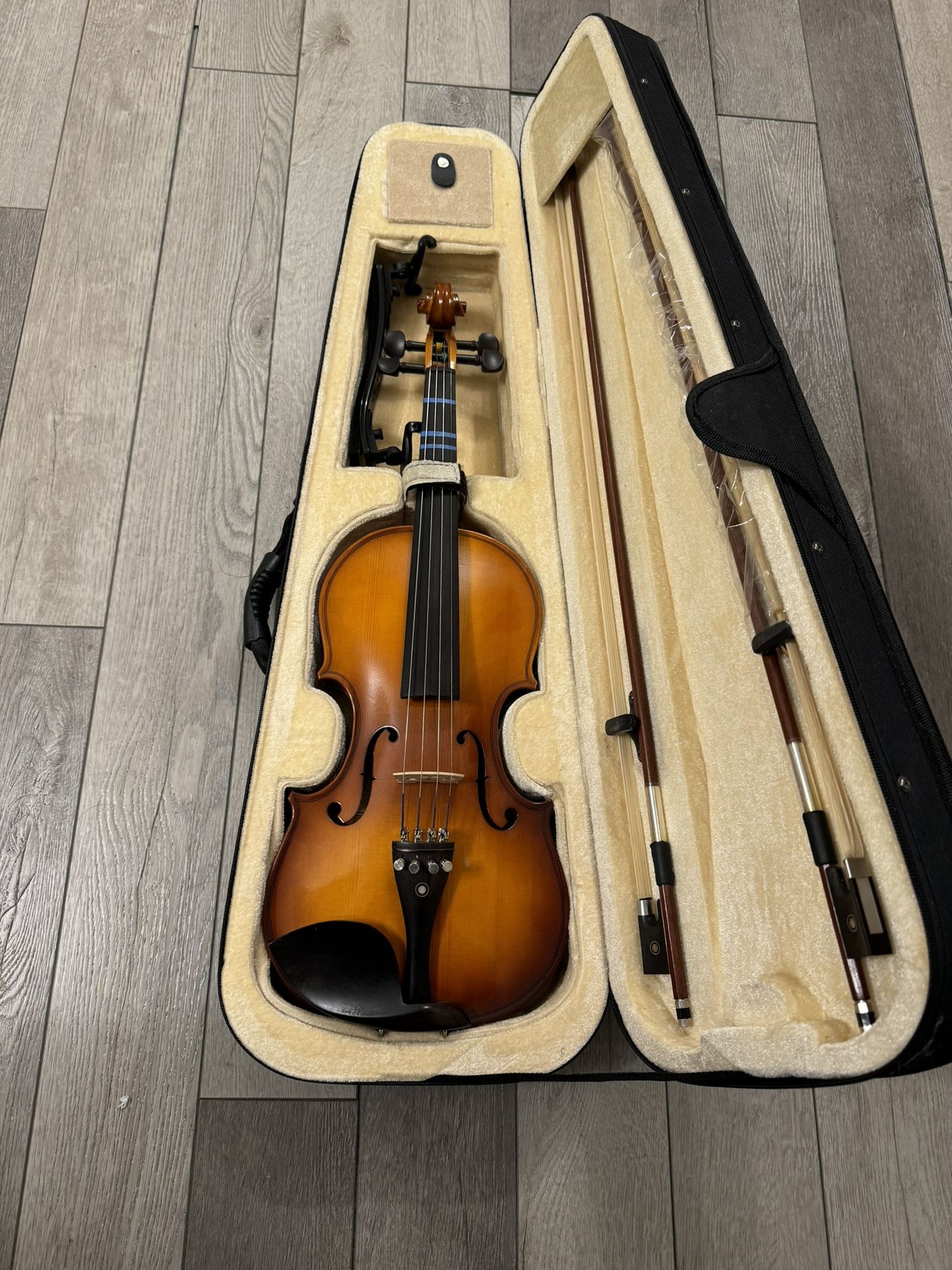 Violin