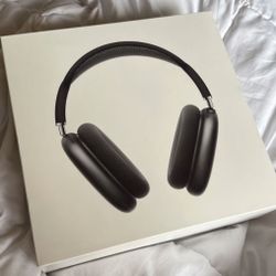 Apple Max Head Phones 