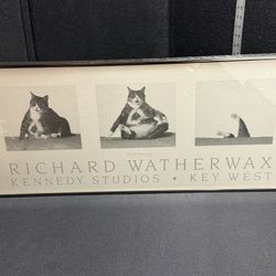 Fat Cat Capsizing Richard Waterwax Framed Art Piece